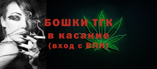 гидра Алексеевка